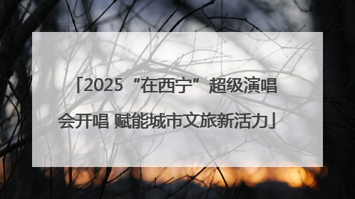 2025“在西宁”超级演唱会开唱 赋能城市文旅新活力