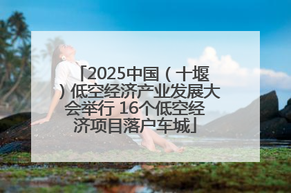 2025中国（十堰）低空经济产业发展大会举行 16个低空经济项目落户车城
