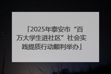 2025年泰安市“百万大学生进社区”社会实践提质行动顺利举办