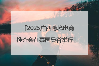 2025广西跨境电商推介会在泰国曼谷举行