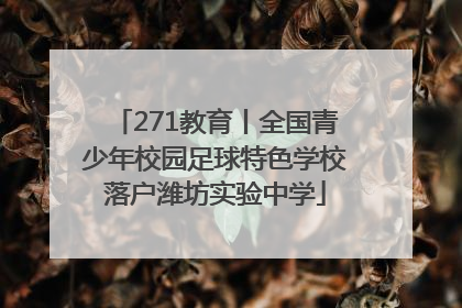 271教育丨全国青少年校园足球特色学校落户潍坊实验中学