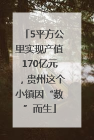 5平方公里实现产值170亿元，贵州这个小镇因“数”而生
