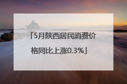 5月陕西居民消费价格同比上涨0.3%