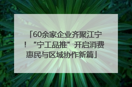 60余家企业齐聚江宁！“宁工品推”开启消费惠民与区域协作新篇