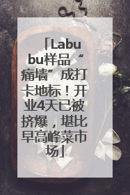 Labubu样品“痛墙”成打卡地标！开业4天已被挤爆，堪比早高峰菜市场